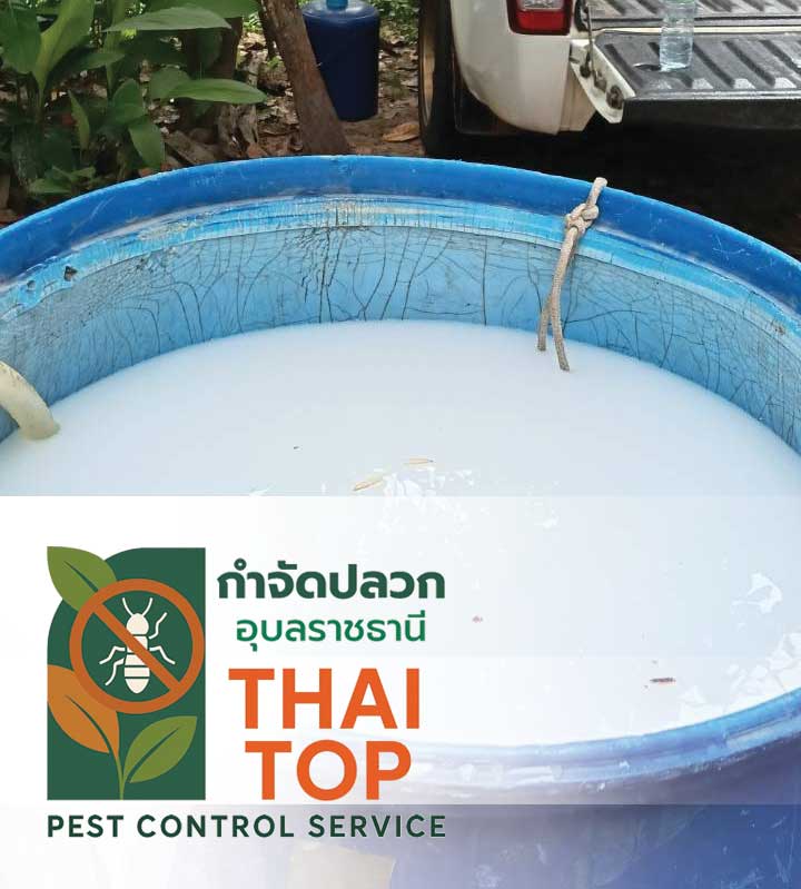 กำจัดปลวกอุบล ราคา