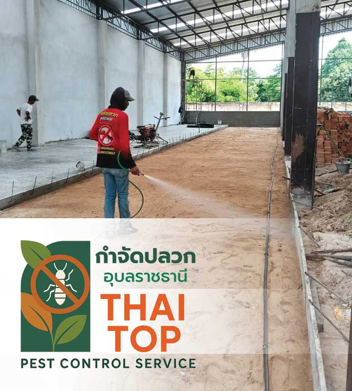 บริการฉีดพ่นปลวกอุบล – เห็นผลไว ปลวกตายยกรัง
