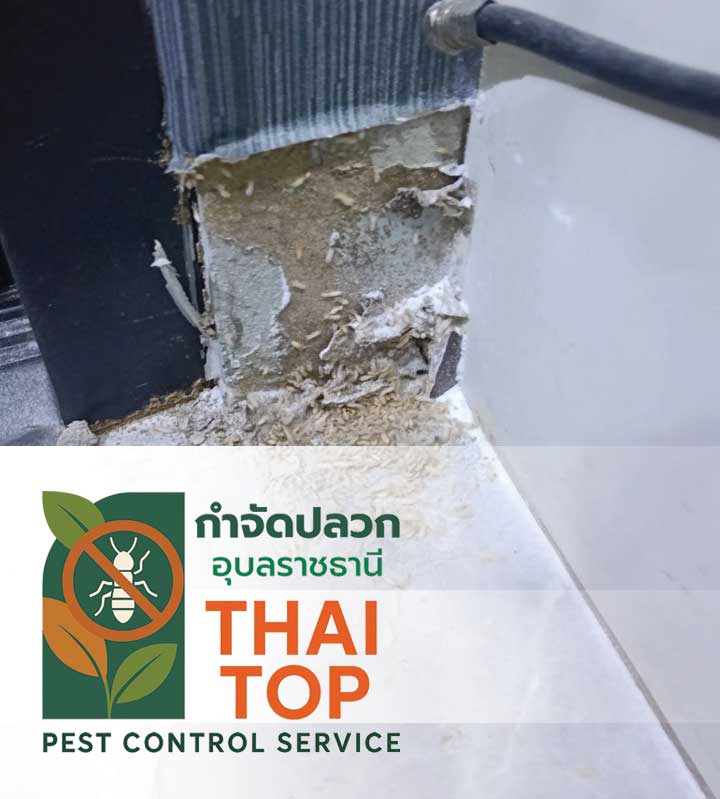 สารเคมีเกรดพรีเมียมที่ใช้