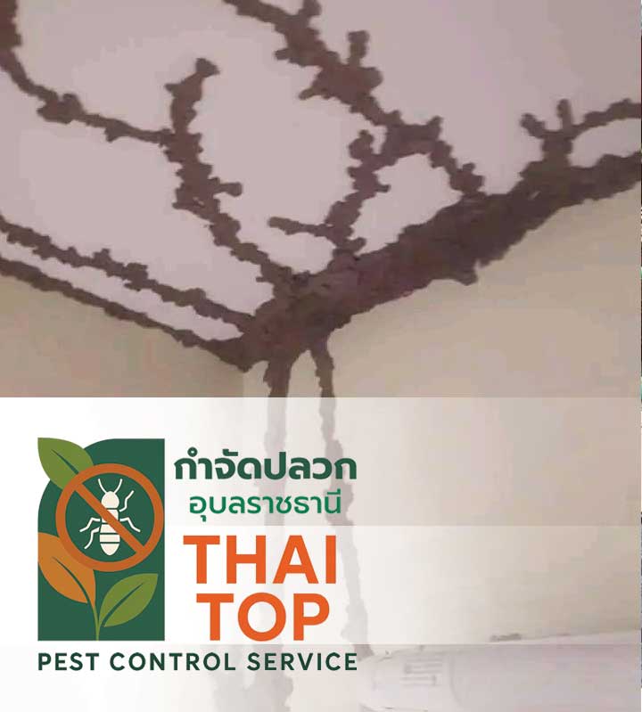 จุดเด่นของการฉีดพ่น Residual Spray