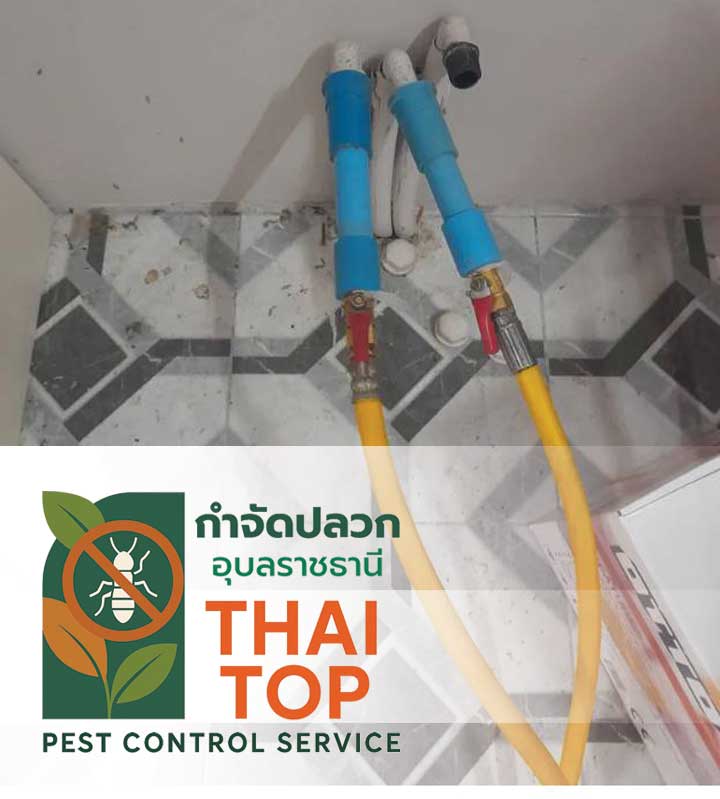 ความปลอดภัยและมาตรฐาน