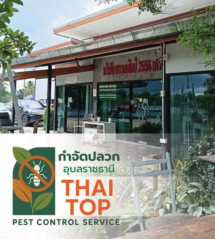 จุดเด่นของระบบเหยื่อล่อปลวก (Termite Bait Station)