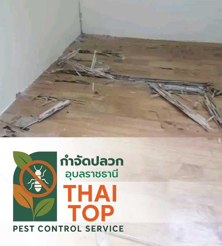 คำถามที่พบบ่อย (FAQ)